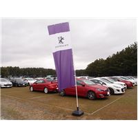 Peugeot Meeting16-04.JPG